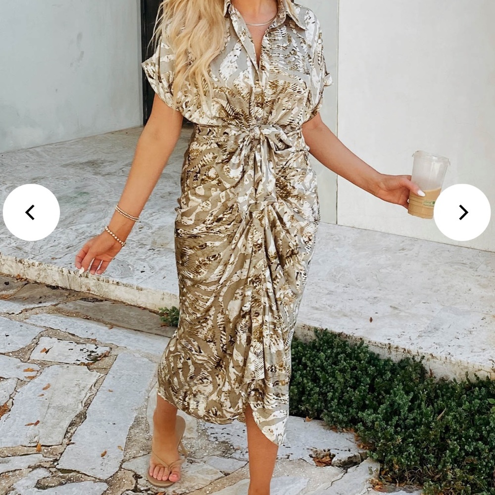 Mable Snake Print Olive Gray Shirt Dress